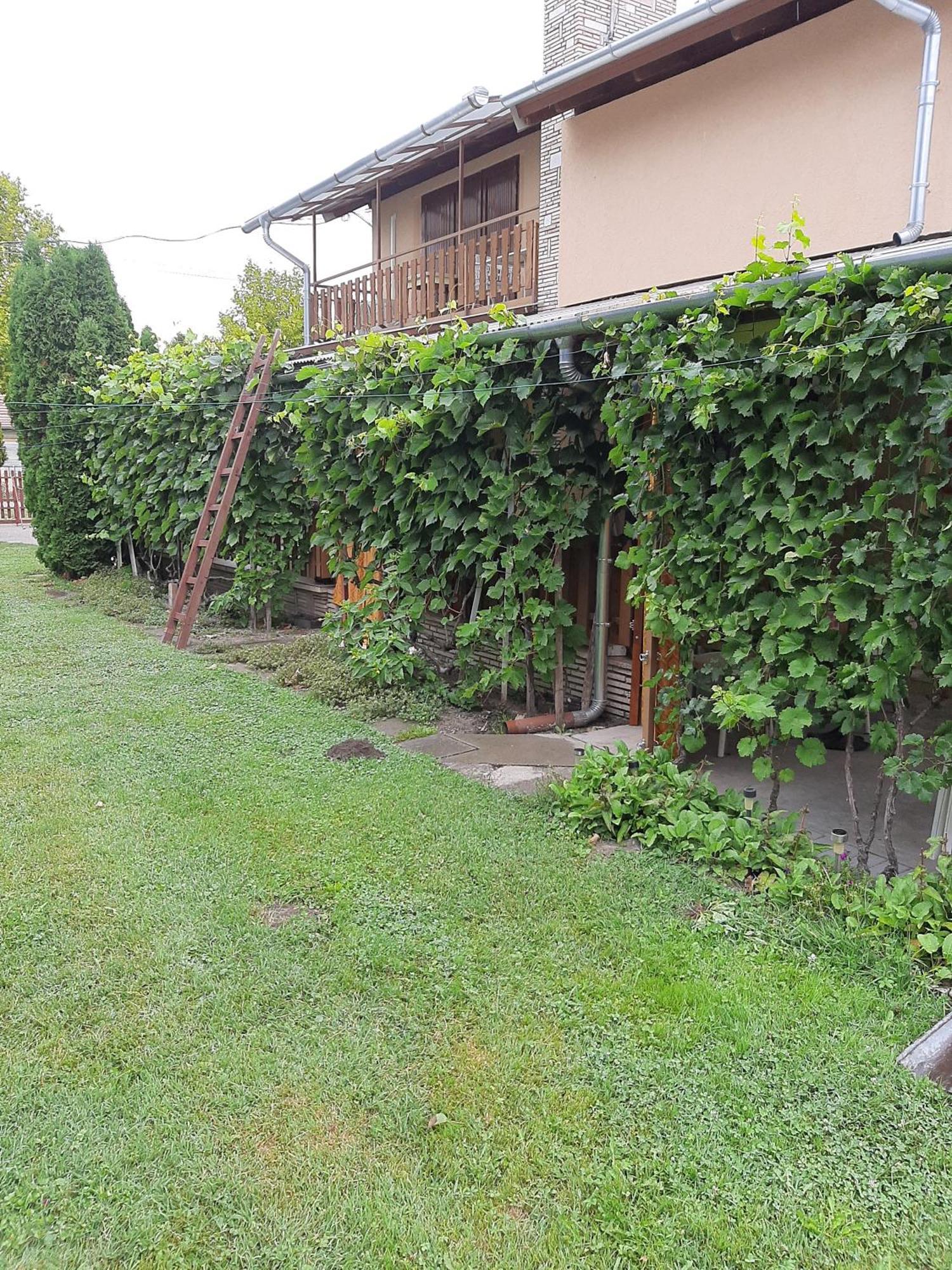 Agancs Vendeghaz Hotel Balatonszárszó Exterior foto
